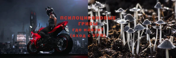 стаф Новокубанск