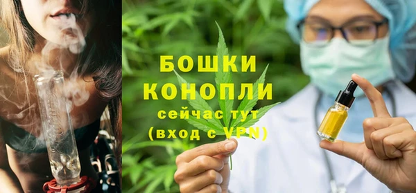 сатива Арсеньев