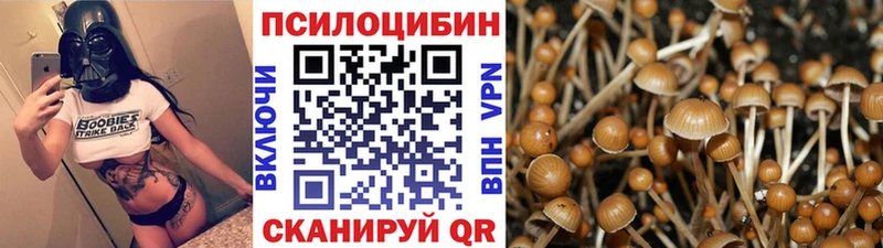 Галлюциногенные грибы ЛСД  хочу наркоту  Светлогорск 