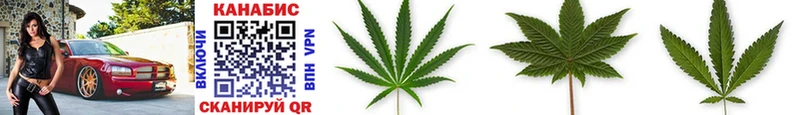 Бошки Шишки THC 21%  Светлогорск 